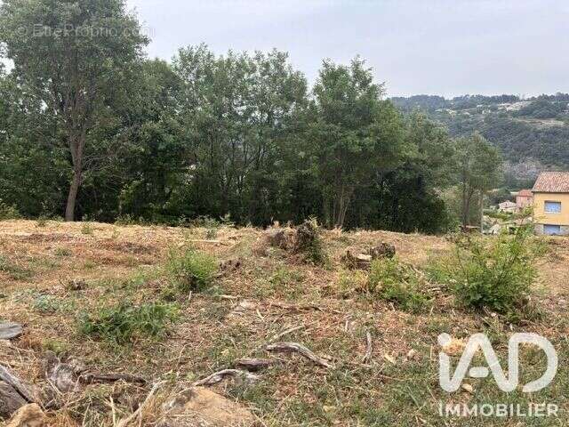 Terrain 2465 m² à Labegude  - photo 2