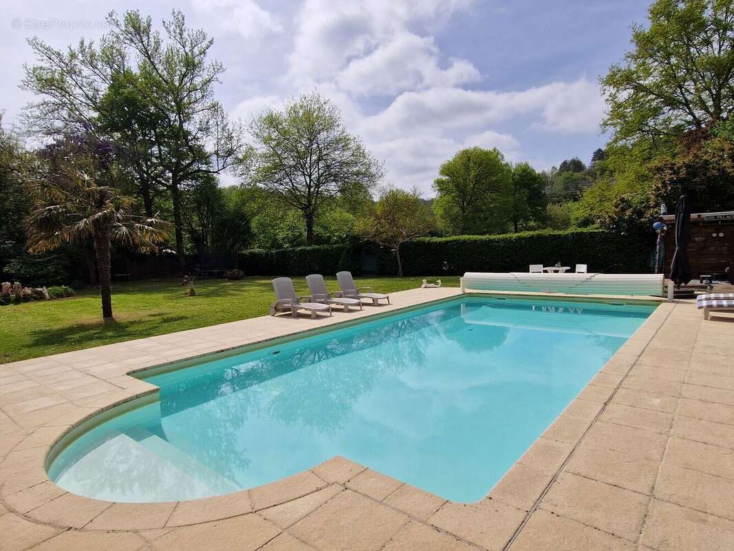 Propriété avec Maison d'habitation, Maison d'amis, Studio, Piscine, parc et jardin 7418m2 jusqu'à la rivière. - photo 8