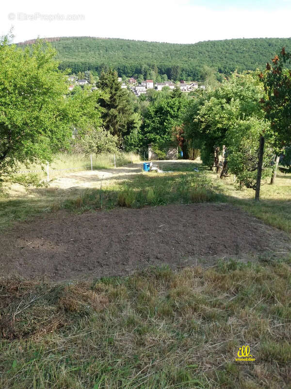 Terrain à NOUZONVILLE