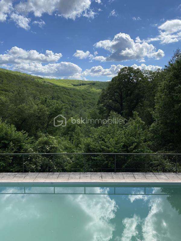 Maison à SAINT-JEAN-DU-BRUEL