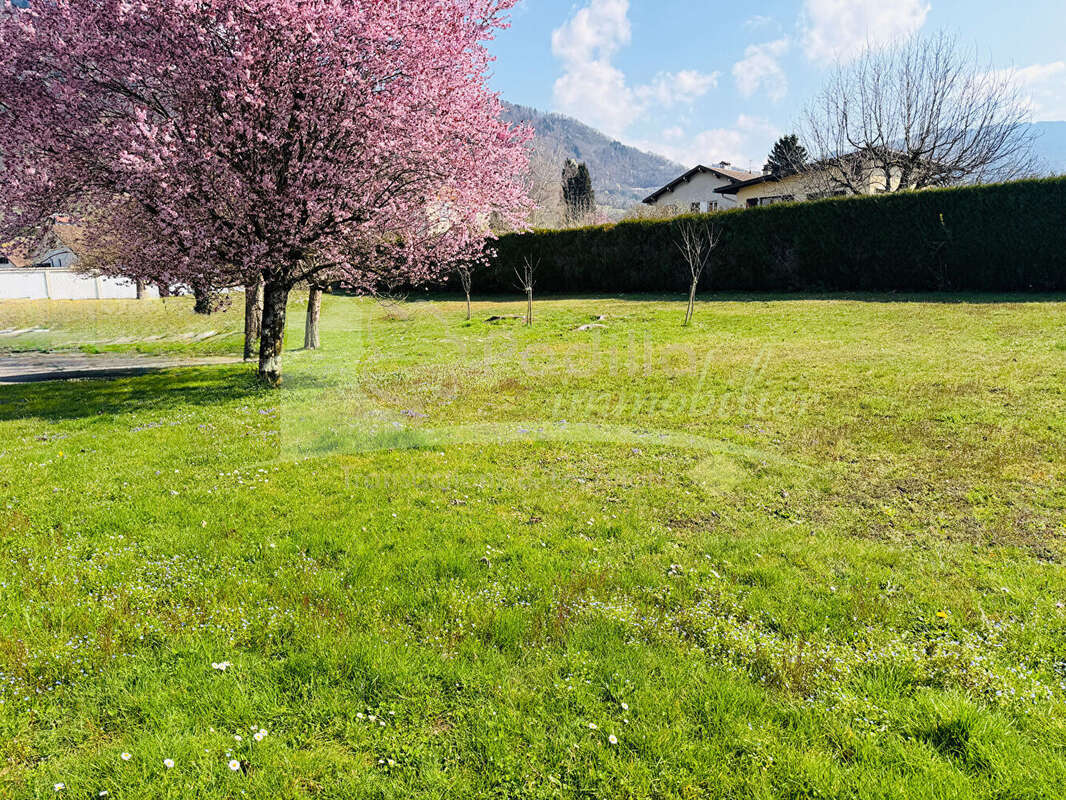 Appartement à THYEZ