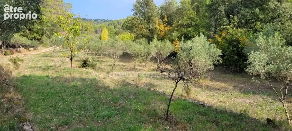 Grande propriété style provençal avec dépendances sur 1,6 ha - photo 17