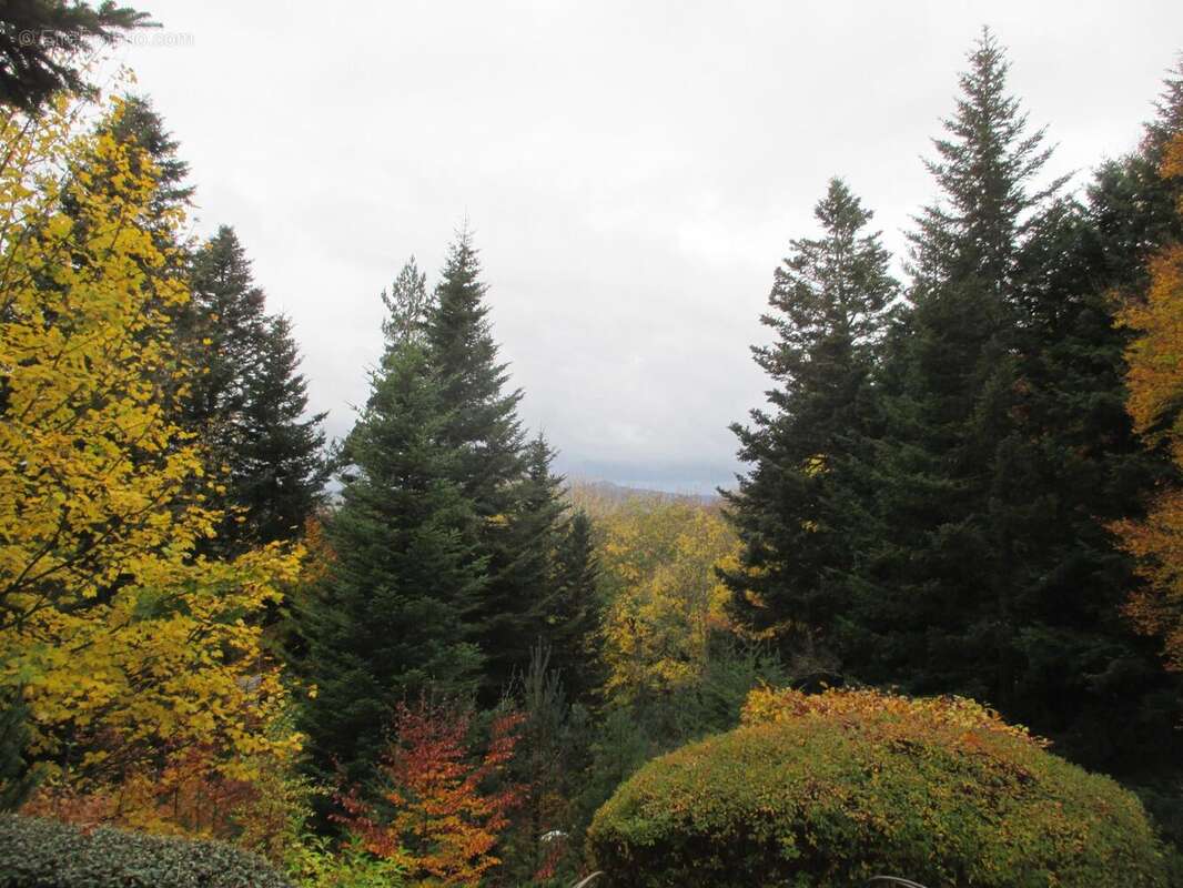 Photo 5 - Maison à LE CHAMBON-SUR-LIGNON