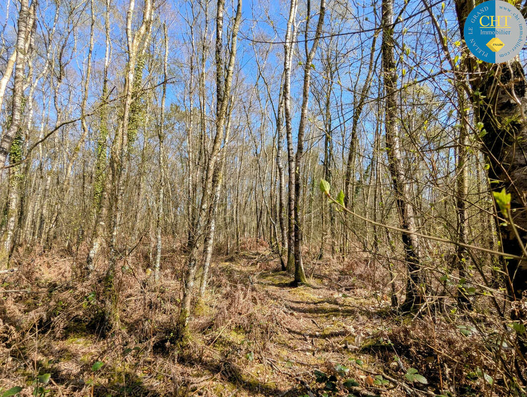 Terrain à CAMPENEAC