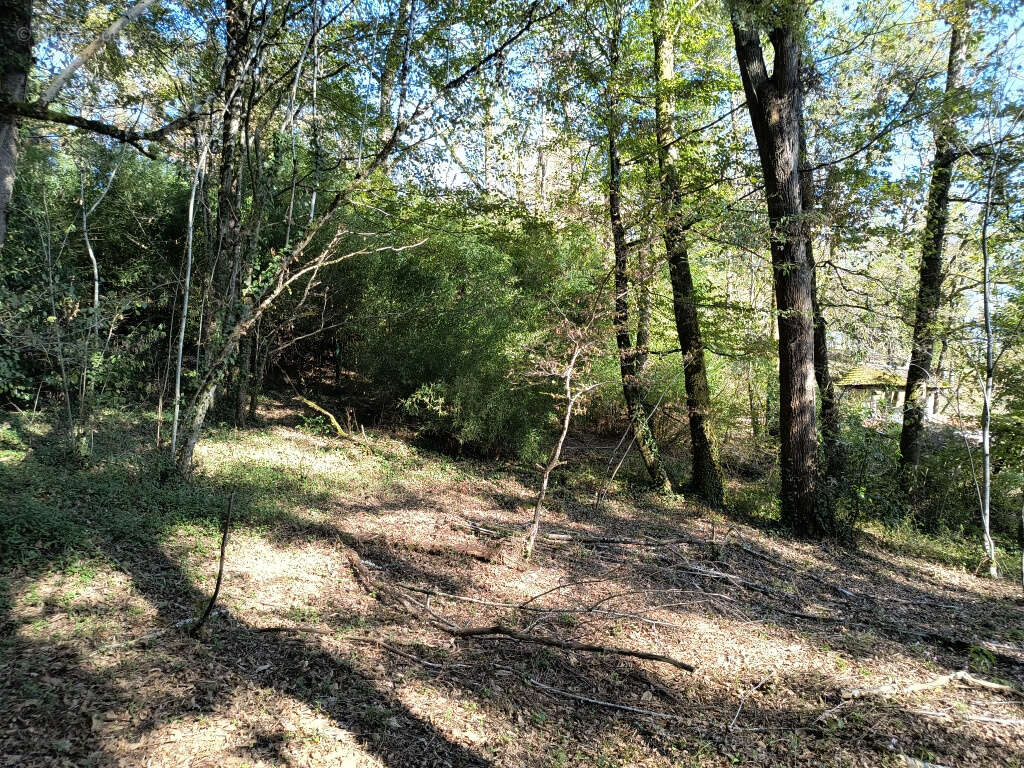 Terrain à BRIVE-LA-GAILLARDE