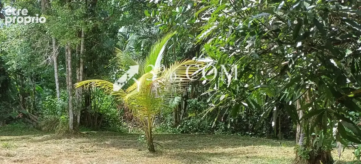 Parcelle de 8000m2 a stoupan matoury - photo 3