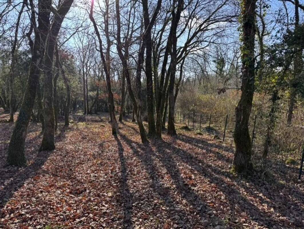 Terrain à LA TOUR-BLANCHE