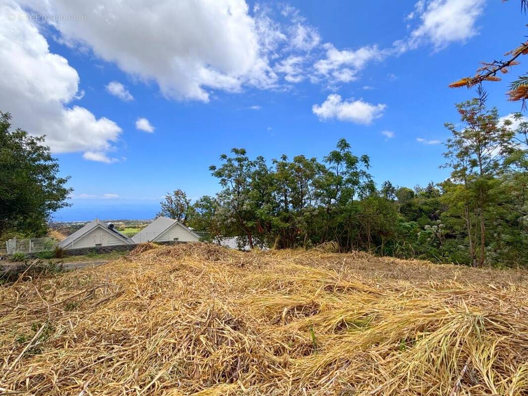 Terrain à SAINT-PAUL