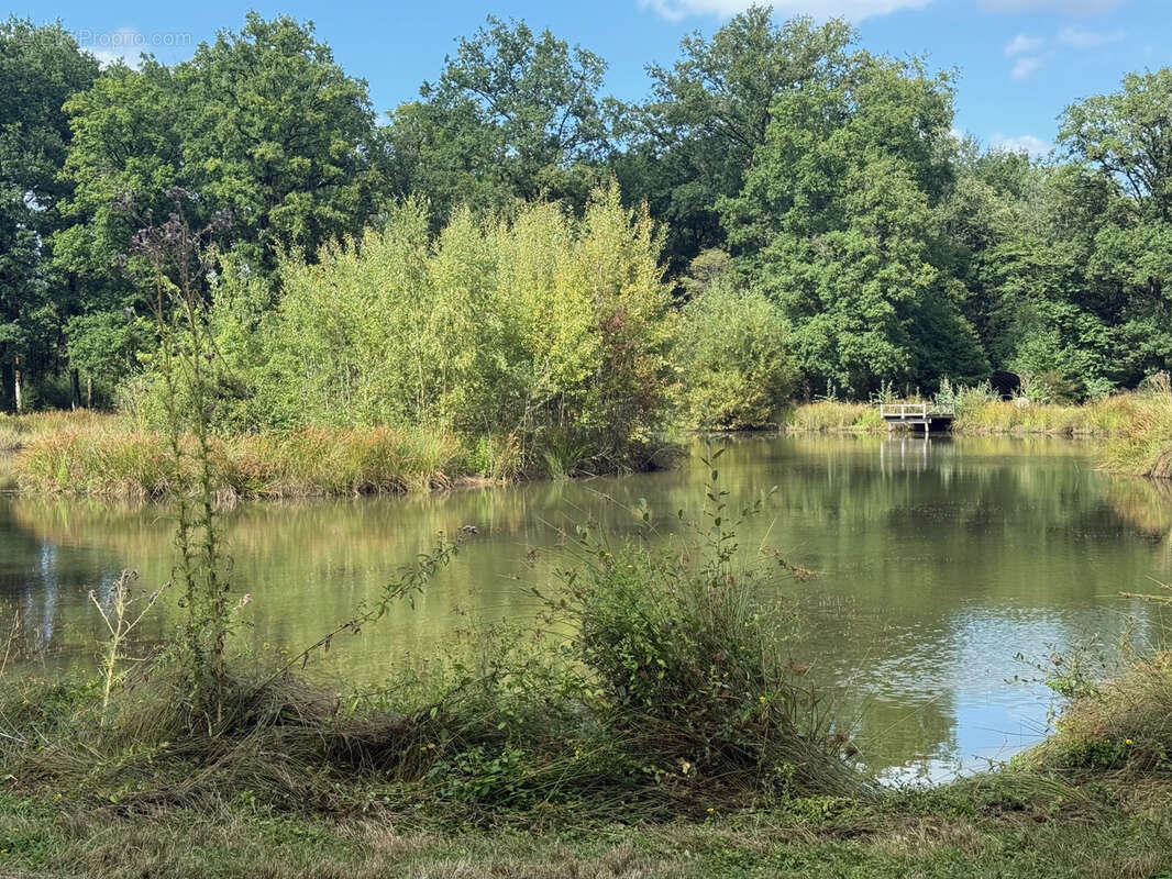 Terrain à MONTIGNE-LES-RAIRIES