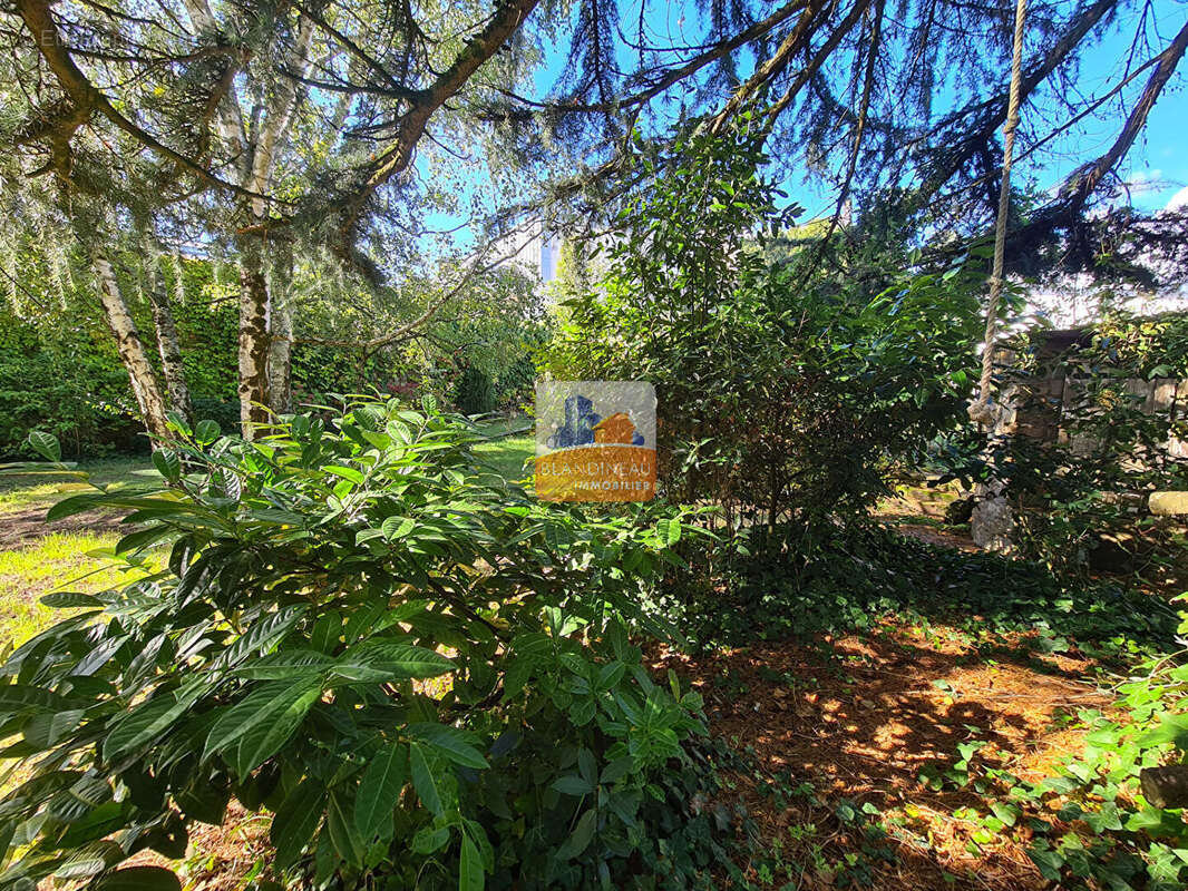 Terrain à LA MONTAGNE