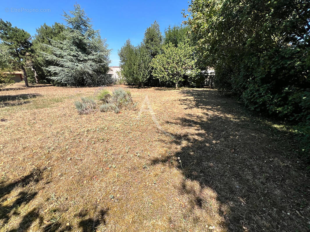 Terrain à LONGEVILLE-SUR-MER