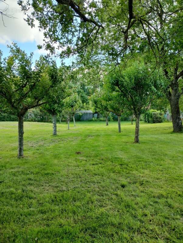 Terrain à SAINT-LYS