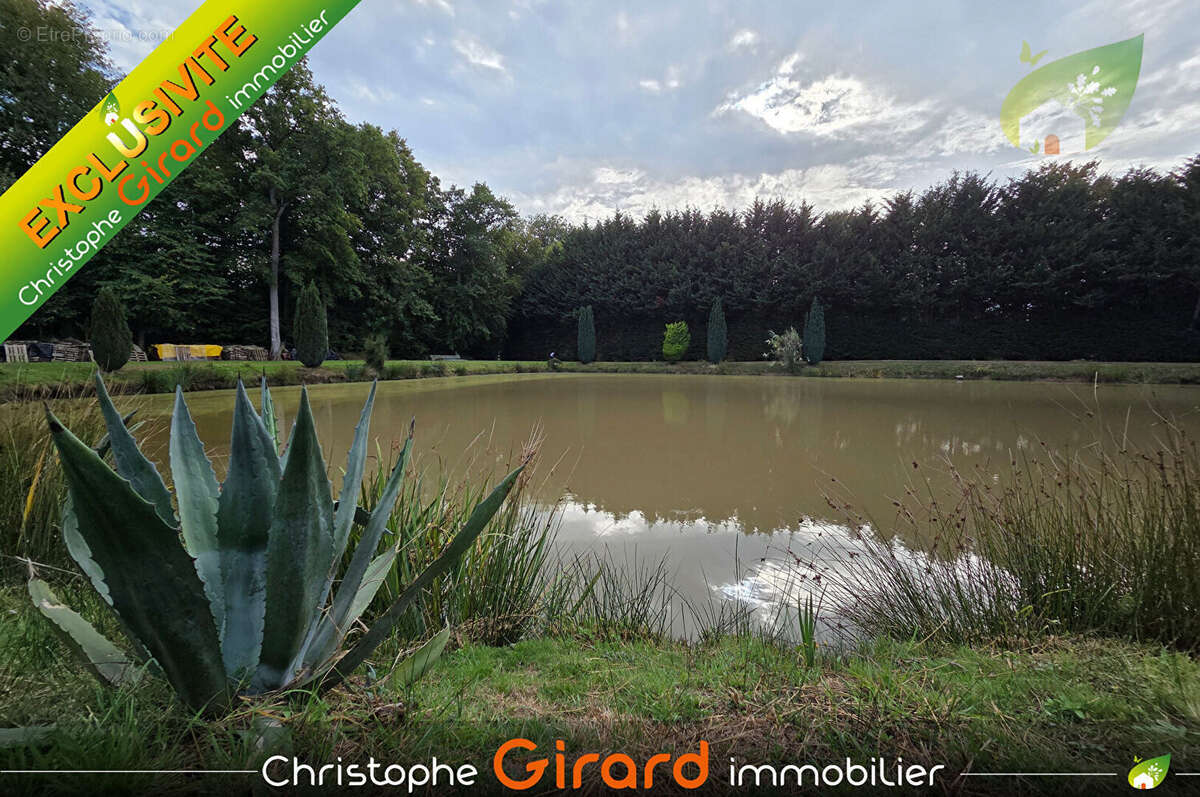 Terrain à SAINT-JUDOCE