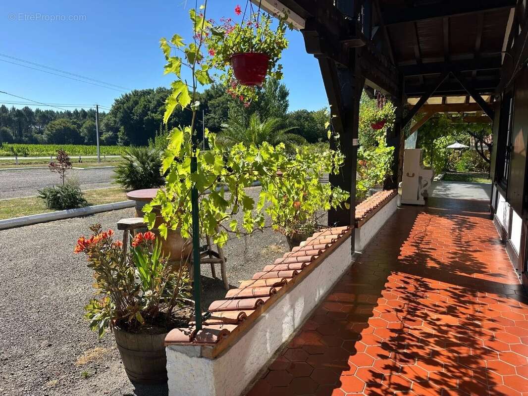 Commerce à MONT-DE-MARSAN