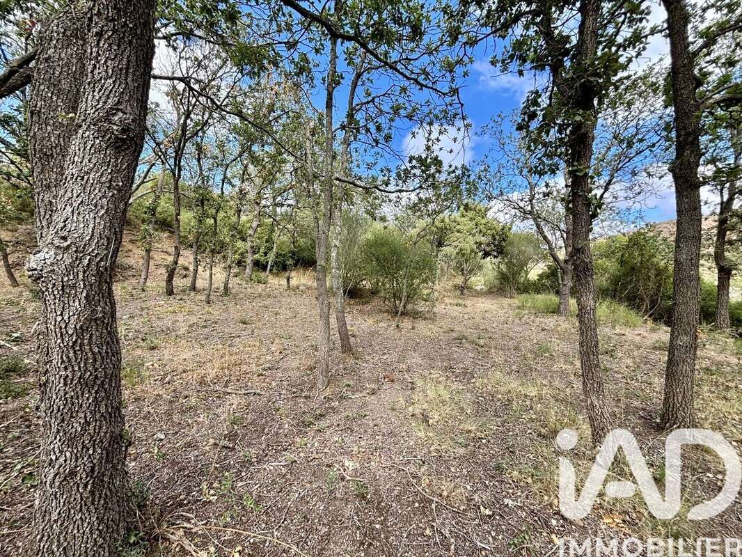 Photo 6 - Terrain à LA PALME