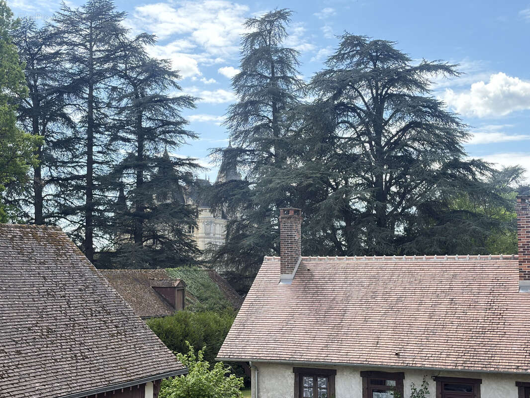 Maison à LIGNY-LE-RIBAULT