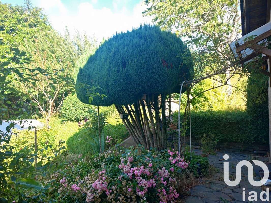 Photo 4 - Maison à MONTSALVY