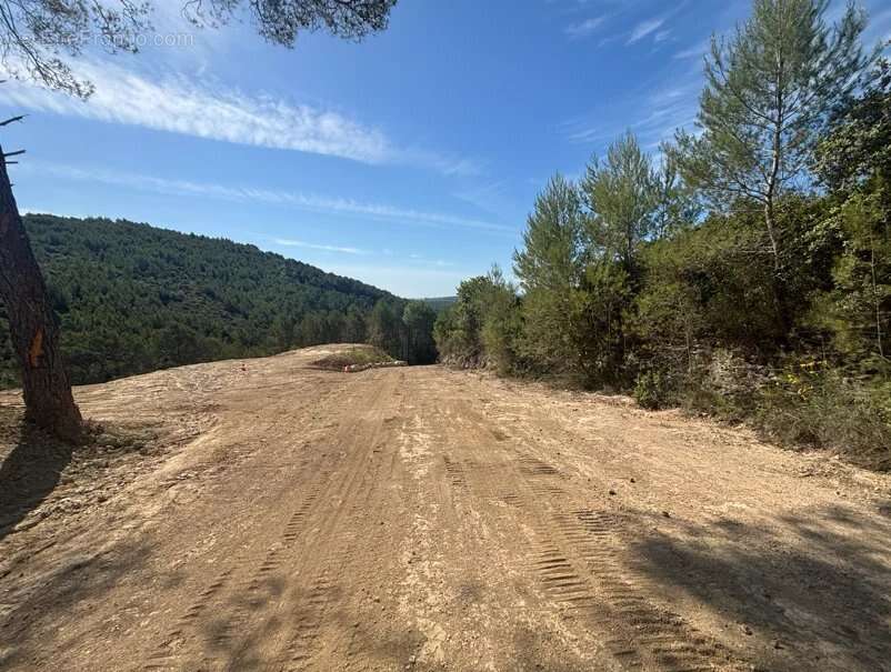 Figanières – terrain agricole et forestier de plus de 9 hectares - photo 7