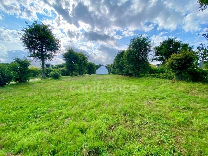 Terrain à LA TRINITE-SURZUR