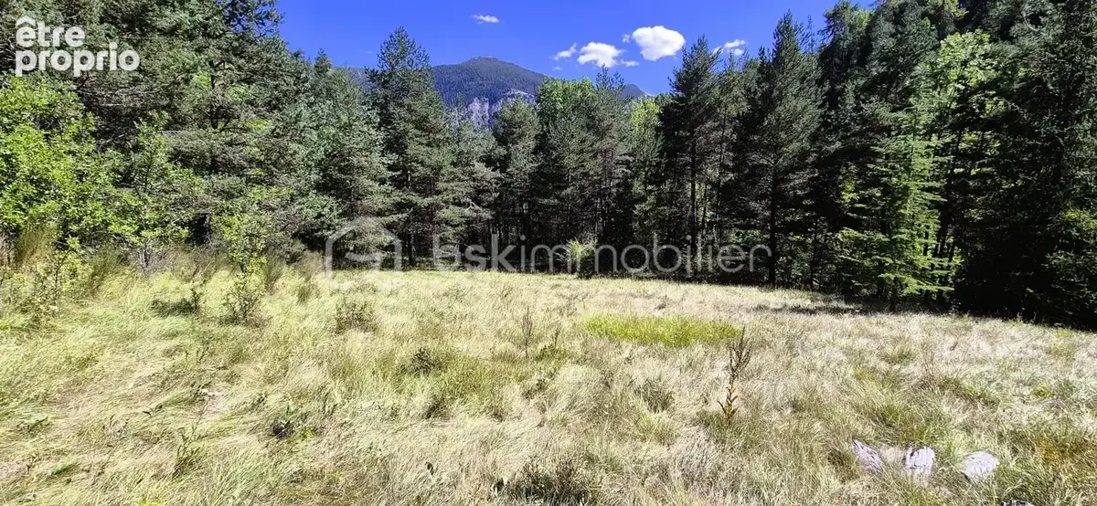 Villars-colmars – authentique maison de caractère avec 5 590 m² de terrain  - photo 6