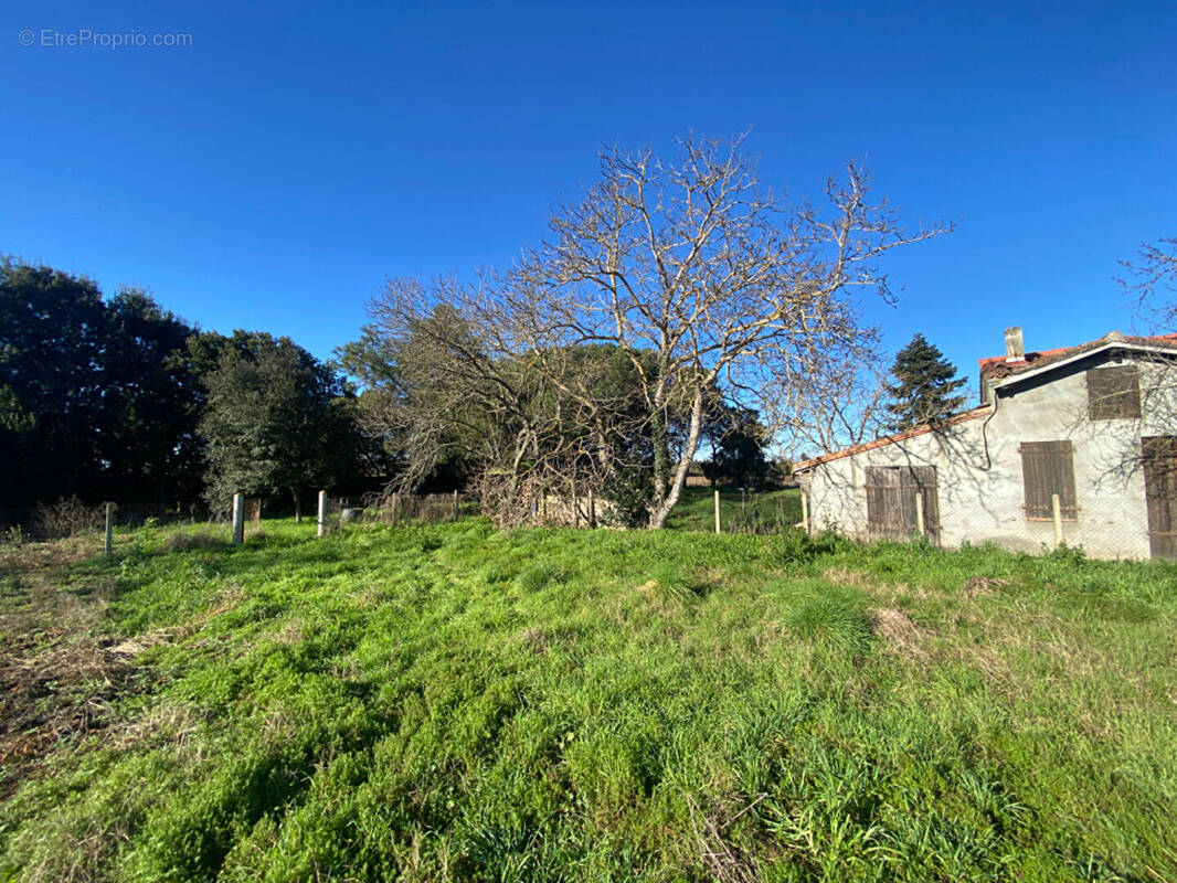 Maison à MURET