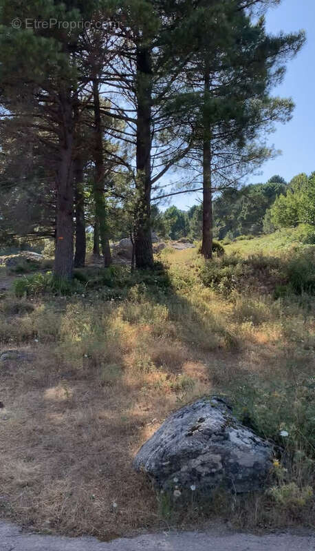 Terrain à bâtir à Cartalavone, commune de Porto-Vecchio - photo 11