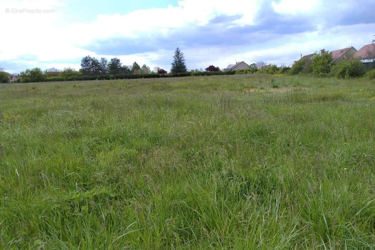 Terrain à OSMERY