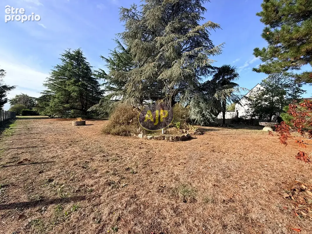 Terrain Dreffeac - photo 1