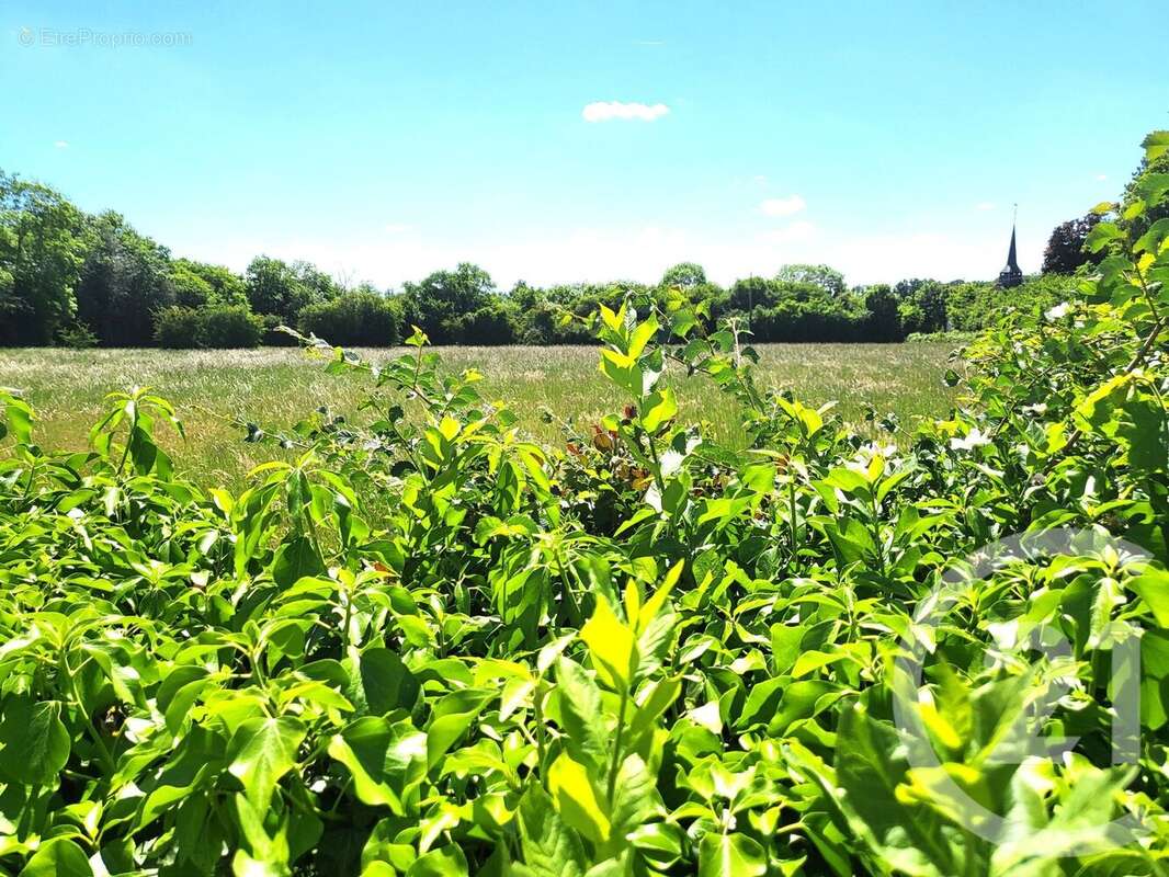 Maison à LE NOYER-EN-OUCHE