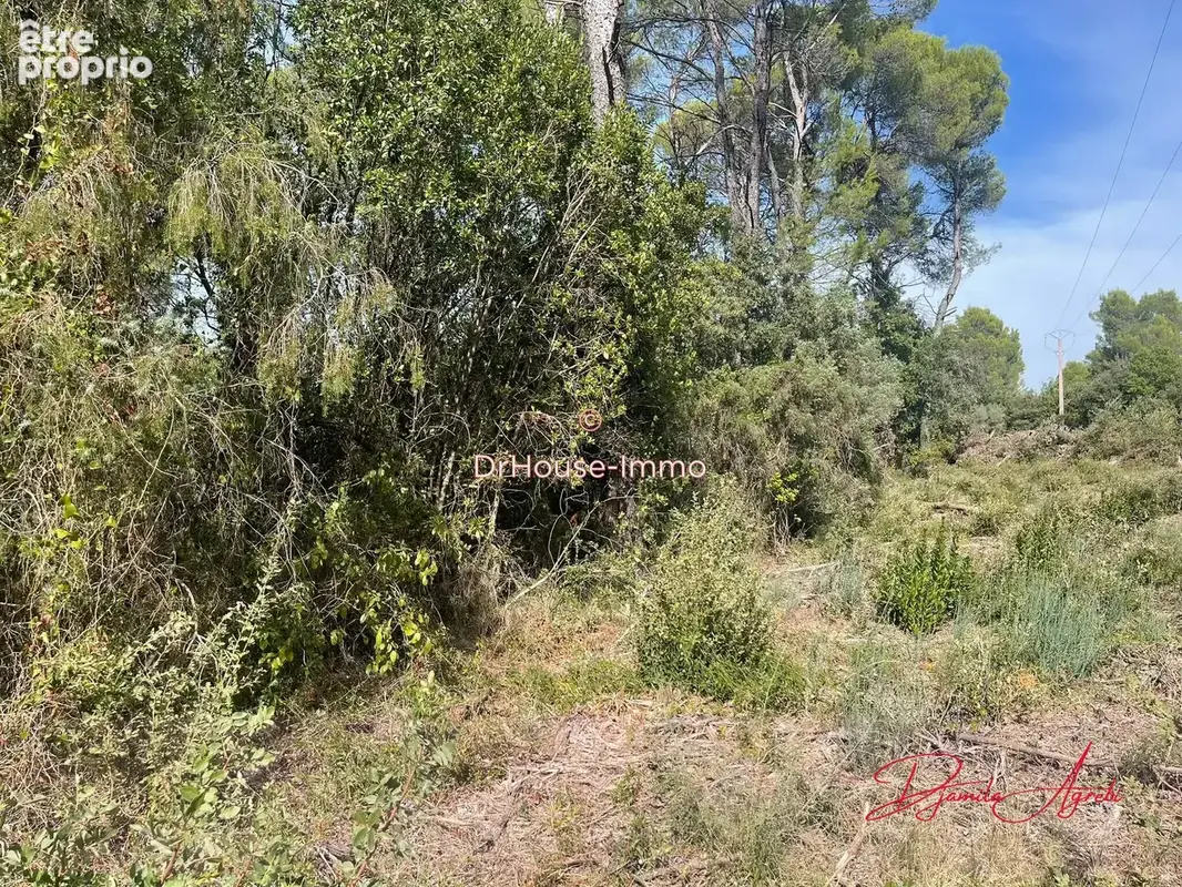 Terrain 4 300 m² à vendre à Cabasse (83340) - photo 6
