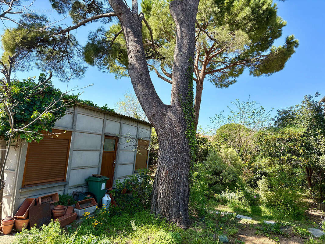 Terrain viabilisé Sète 330 m² - photo 3