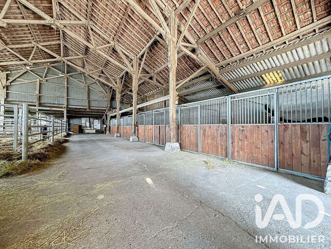 Commerce 800 m² à Villers-En-Argonne  - photo 5