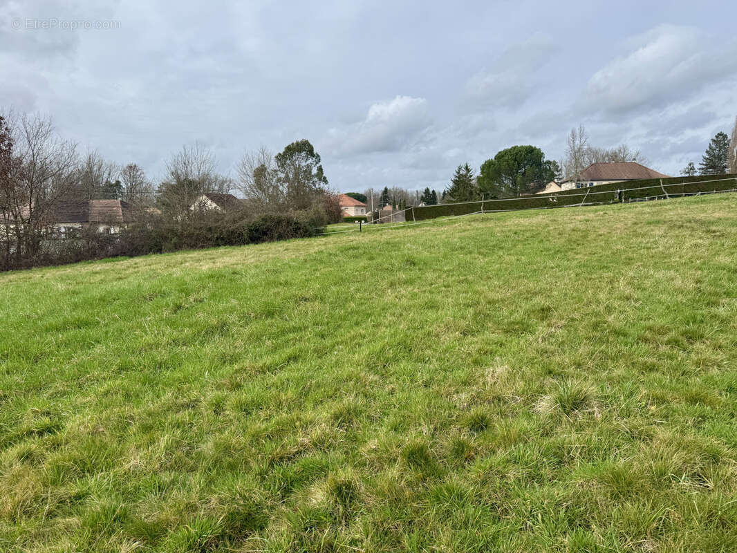 Terrain à SAINT-VIANCE