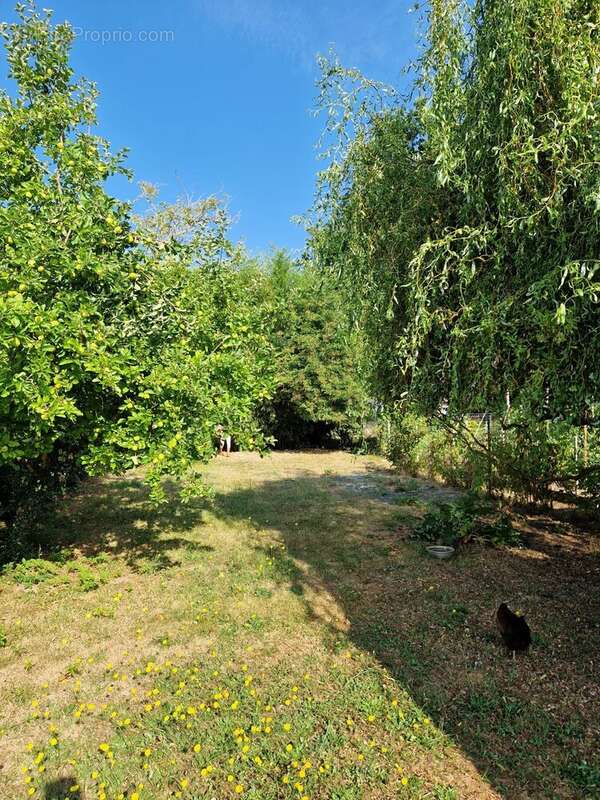 Maison 115 m² à Replonges  - photo 16