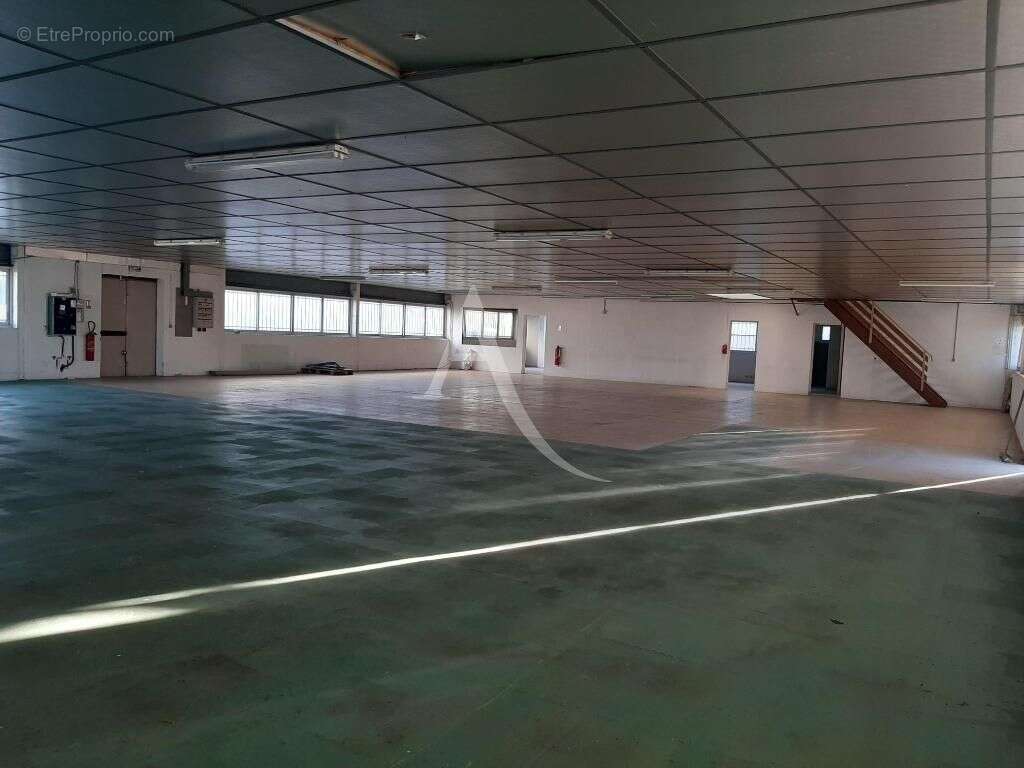 Commerce à L&#039;ISLE-JOURDAIN