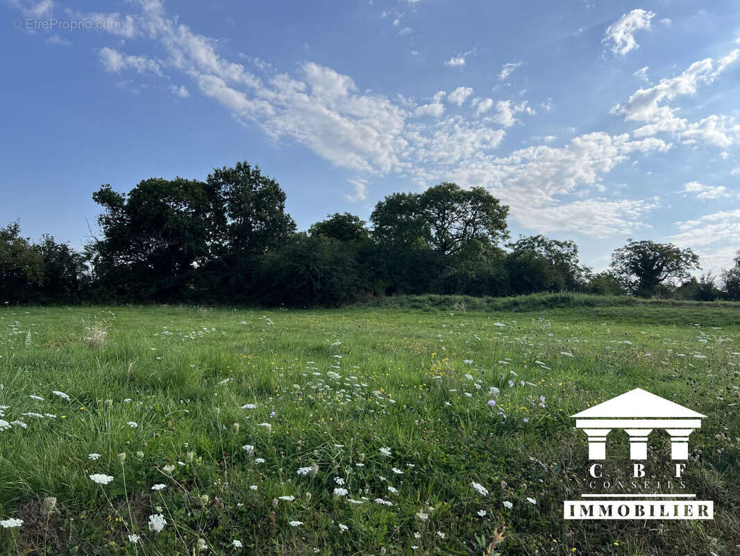 Terrain à SAINT-SERNIN-DU-BOIS