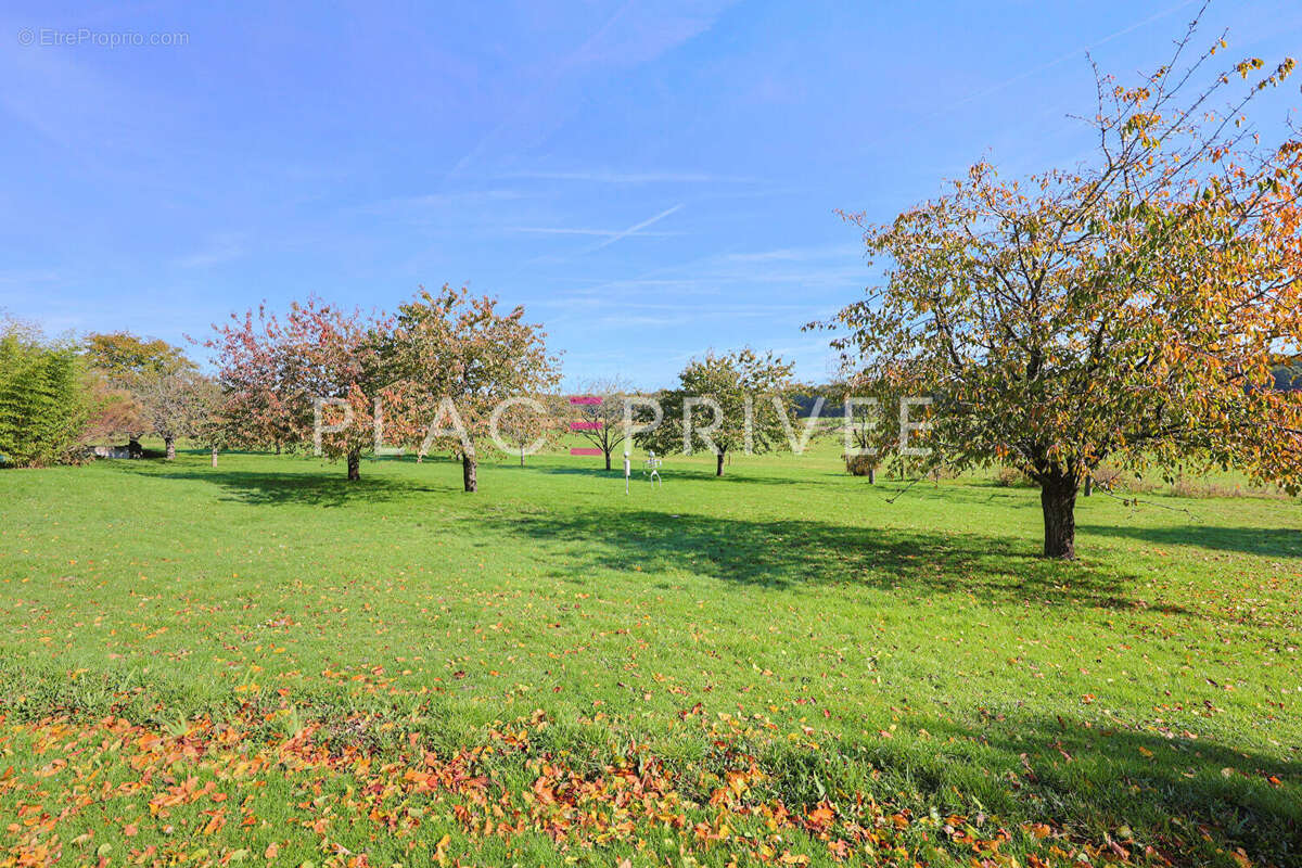 Maison à LA CHAPELLE-AUX-BOIS