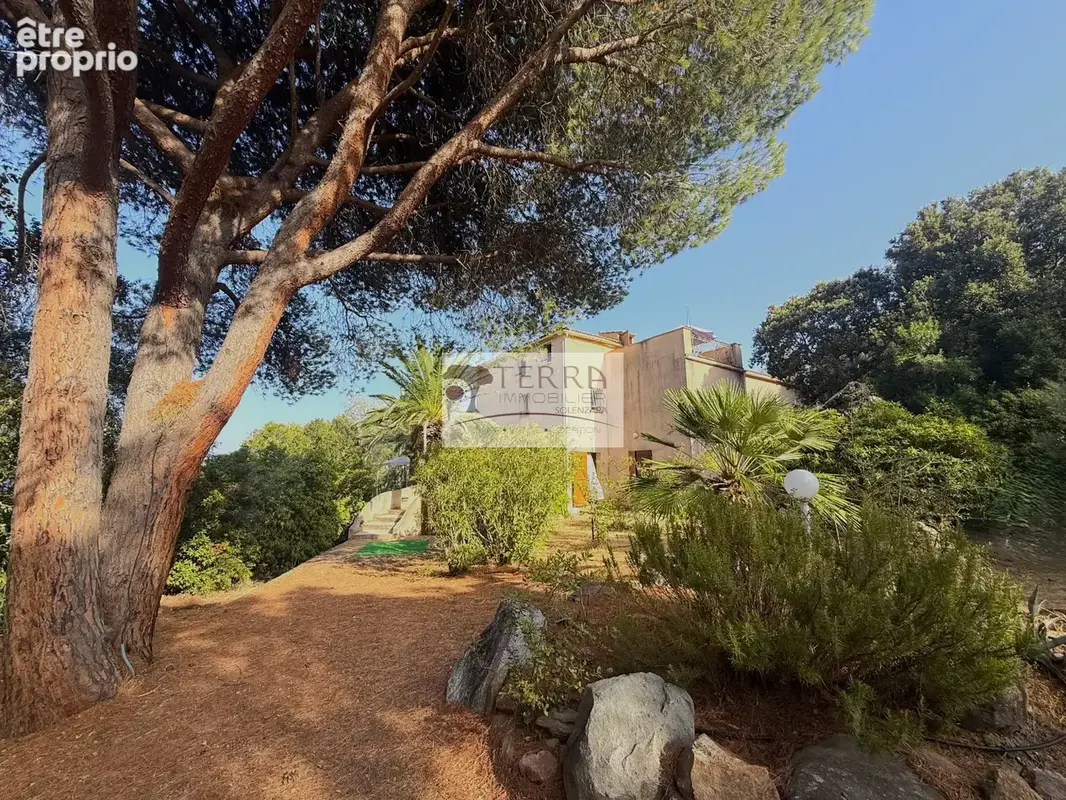 Maison F7/F8 de 217 m2 sur 2.060 m2 de terrain 20145 SOLENZARZA - photo 18