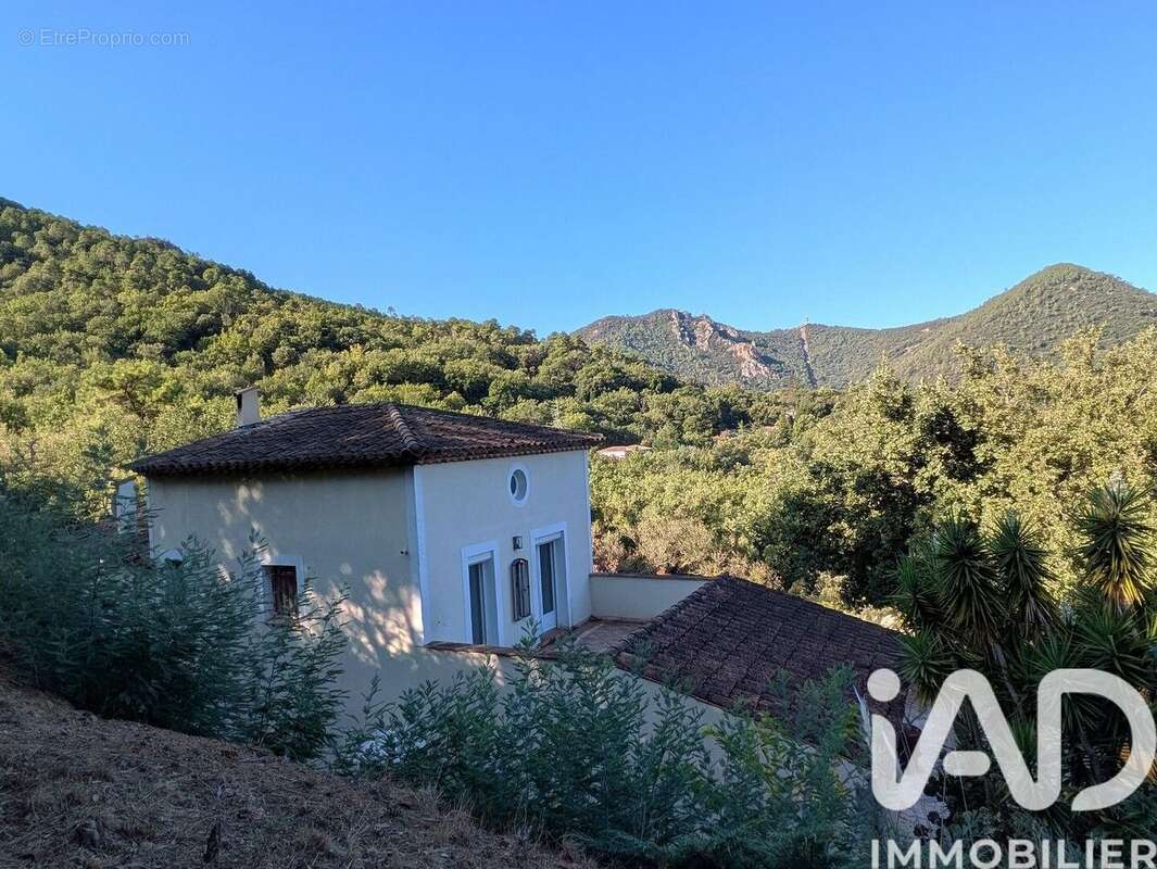 Photo 8 - Maison à MANDELIEU-LA-NAPOULE