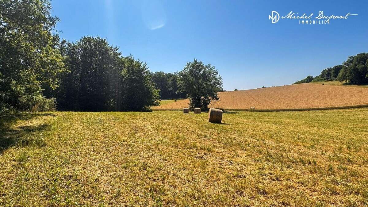 Terrain 11852 m² à Limeuil  - photo 2