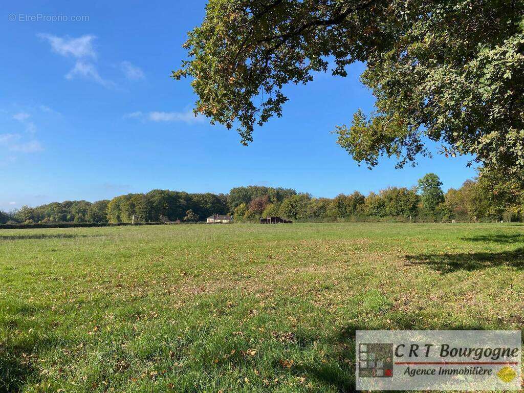 Maison à MOULINS-SUR-OUANNE