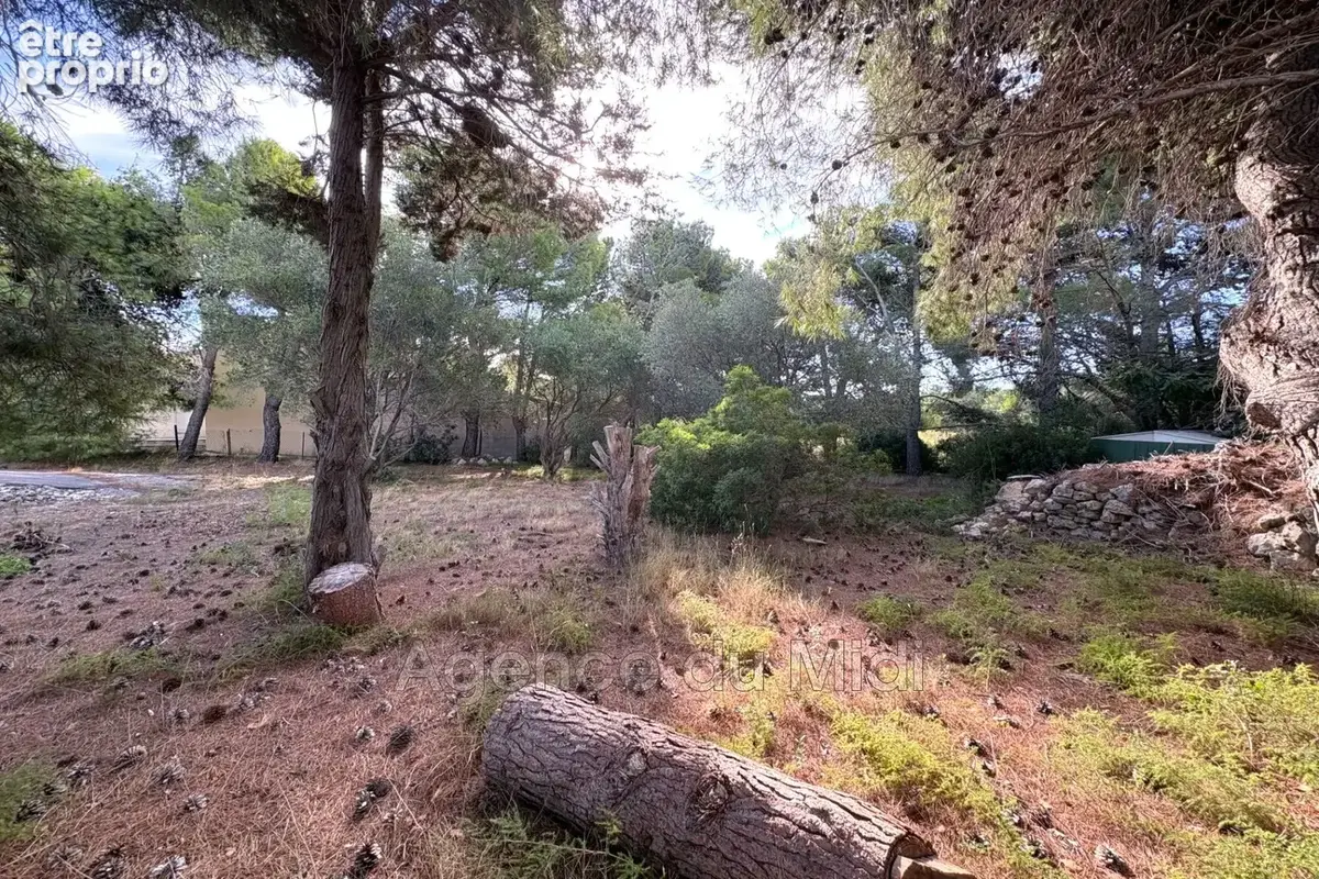 Terrain 702 m² à vendre à Leucate (11370) - photo 4