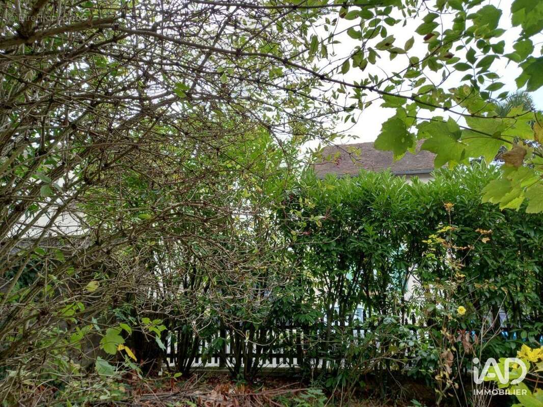 Photo 3 - Terrain à BAULNE