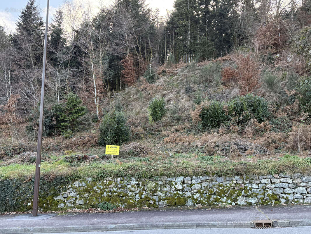 Terrain à SAINT-NABORD