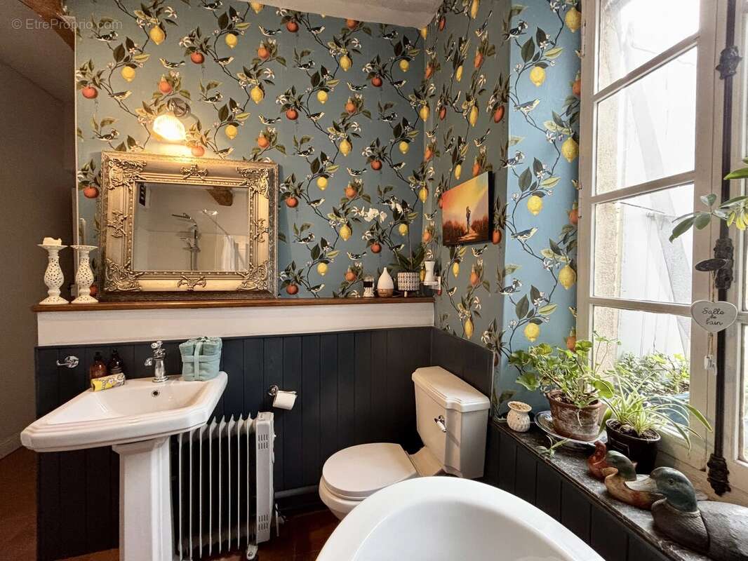 Maison à CAUNES-MINERVOIS