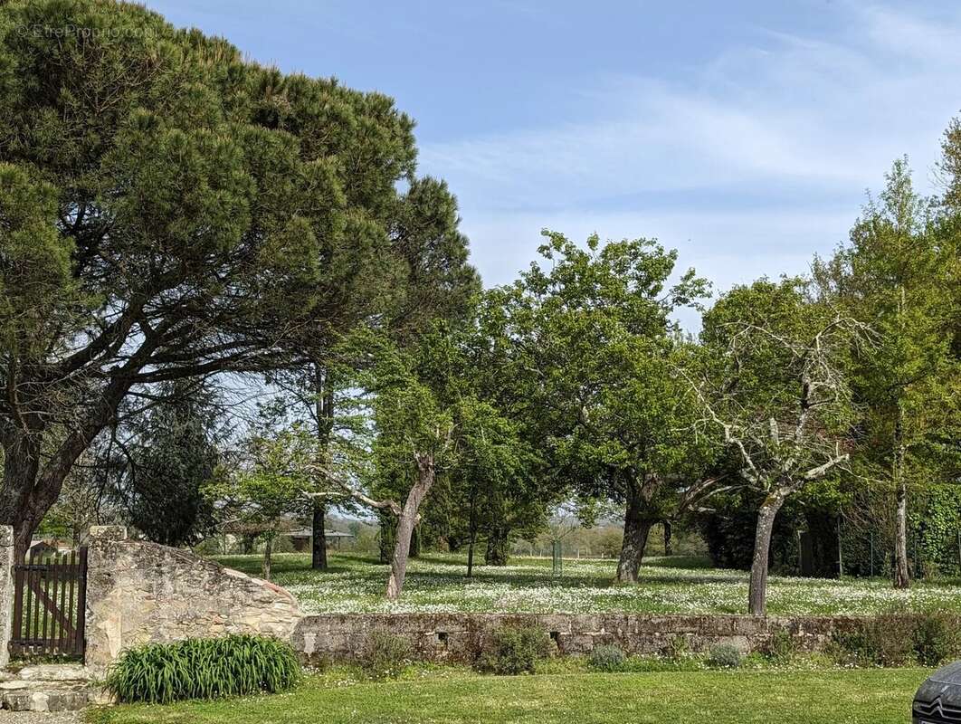 Maison de caractère avec 4 chambres sur 'environ 7318 m². - photo 41