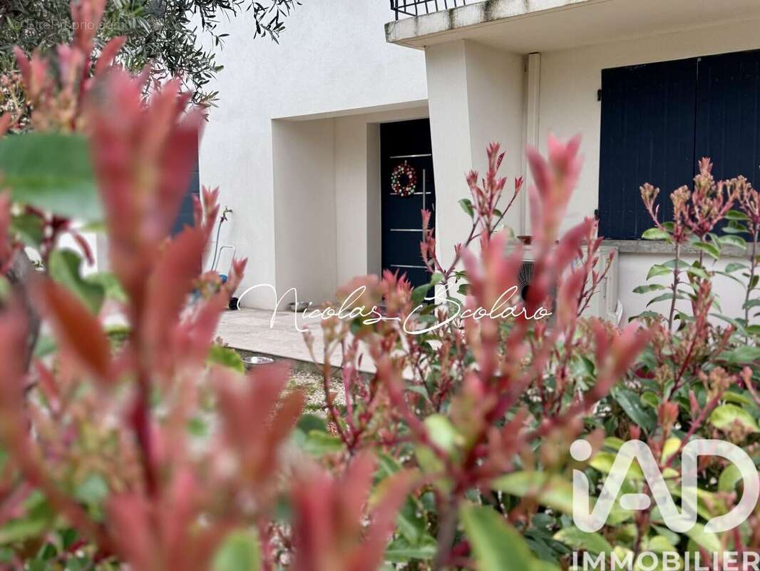 Photo 3 - Maison à ENTRAIGUES-SUR-LA-SORGUE