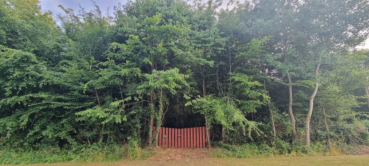 Terrain à LA SELLE-EN-HERMOY