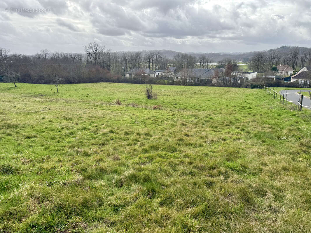 Terrain à SAINT-VIANCE
