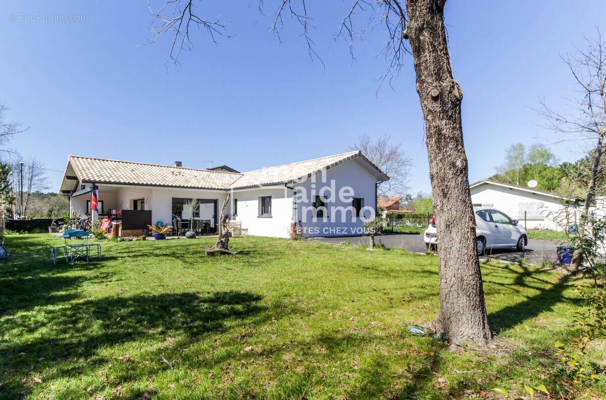 Maison à SAINT-MICHEL-ESCALUS